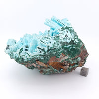 Chrysocolla Pseudomorph