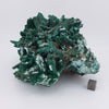 Malachite over Chrysocolla Pseudomorph