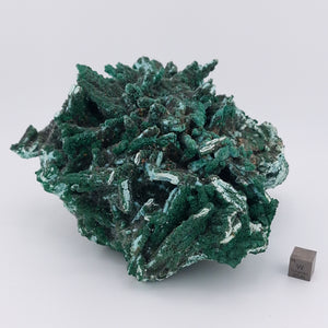 Malachite over Chrysocolla Pseudomorph