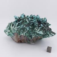 Malachite over Chrysocolla Pseudomorph