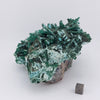 Malachite over Chrysocolla Pseudomorph