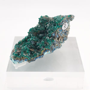 Druzy Quartz coated Dioptase over Shattuckite spheres in Quartz