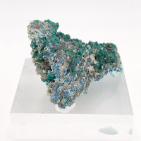 Druzy Quartz coated Dioptase over Shattuckite spheres in Quartz