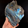 Beautiful Blue Labradorite Dragon Carving