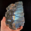 Beautiful Blue Labradorite Dragon Carving