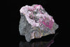 Pink Picropharmacolite 001