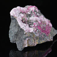 Pink Picropharmacolite 001