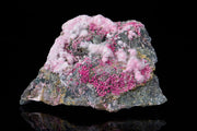 Pink Picropharmacolite 001