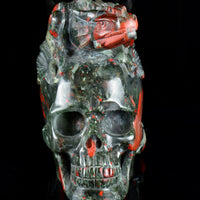 African Bloodstone Dragon on Skull