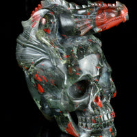 African Bloodstone Dragon on Skull