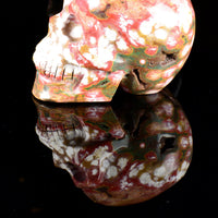 Ocean Jasper Skull